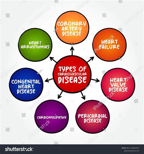 Types Cardiovascular Disease Group Disorders Heart Stock Vector
