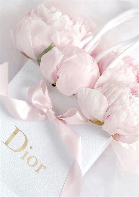 La maison dior présente sa première collection de décoration. Dior art illustration photography print pink designer home ...