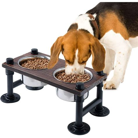 Welland Elevated Dog Bowls With 2 Stainless Steel Bowls Farmhouse