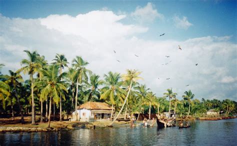Beauty Of Kerala Backwaters Top 5 Places To Visit