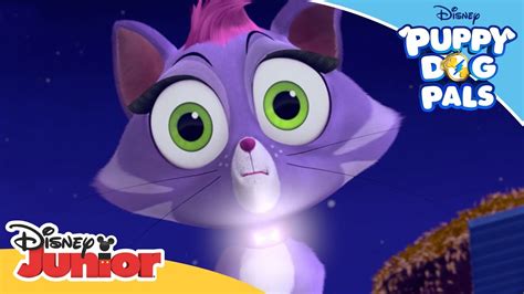 To solve this simply close your eyes and picture your baby being latched on to you while you are using the pumpin' pal flanges. Return to the Pumpkin Patch | 🐶Puppy Dog Pals | Disney ...