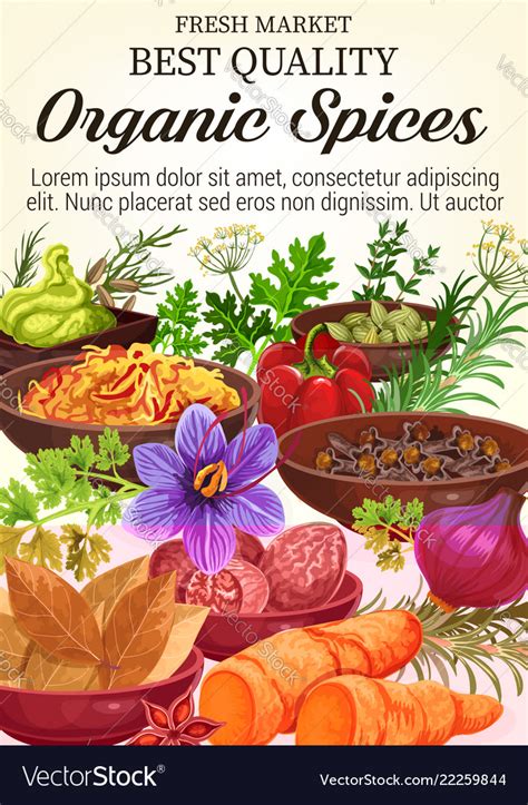 Poster Of Organic Spices And Herbs Royalty Free Vector Image
