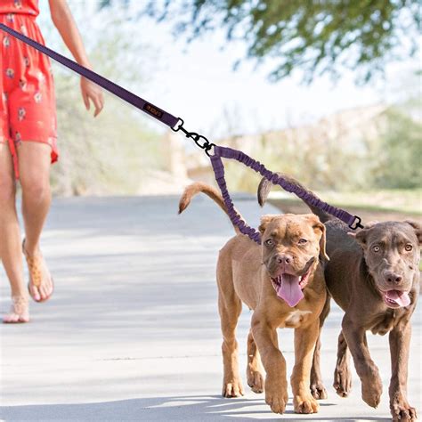 8 Best Double Dog Leash Coupler Enjoy Walking Your Two Dogs Together