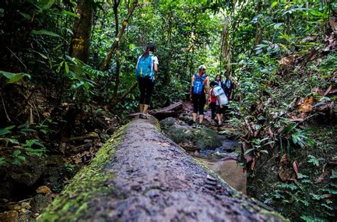It has a great location, right next to my office, and parking is easy (won't cost more than rm4 for a regular workout session). 10 Places To Hike In Klang Valley For Different Fitness Levels