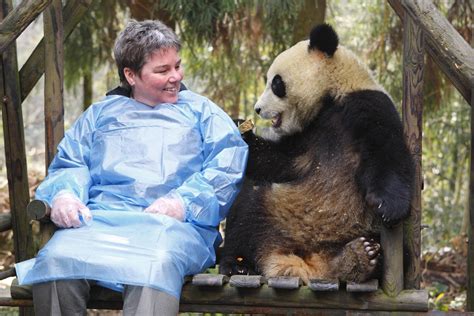 Edinburgh Zoos Director Of Giant Pandas Reveals How Tian Tian And Yang