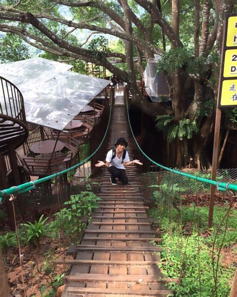 37 Likes 6 Comments Auan Sauttavanit On Instagram “atthe Giant 🌲 บรรยากาศดีแต่รสชาติ