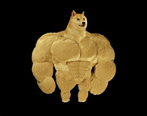 Here Is A Beautiful Hd Ripped Doge I Made Rblender