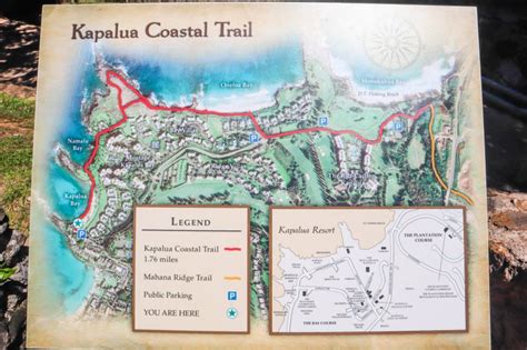 Kapalua Coastal Trail A Beautiful Beach Walk Thats Fun For All Ages