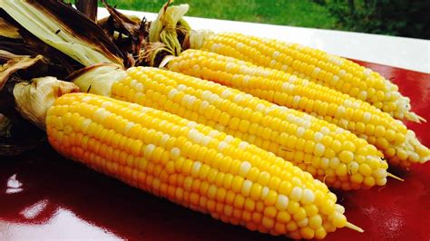 Roasted Corn Premium Pd Recipe Protective Diet