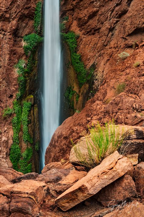 Natures Garden Deer Creek Fall Grand Canyon Eloquent Images By
