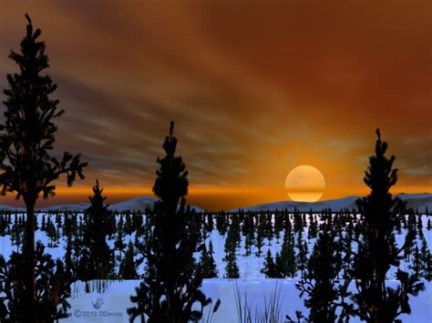 Taiga Boreal Forest Biomes Winter Sunset