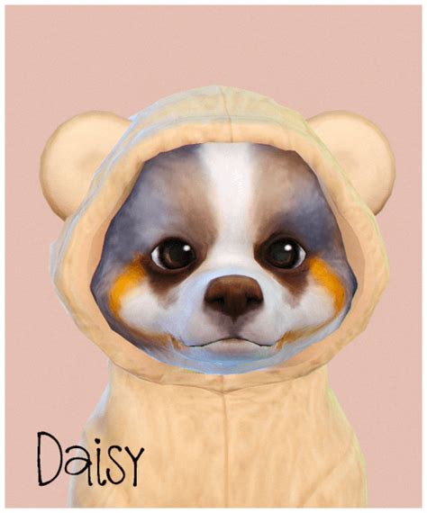 Daisy Puppy For The Sims 4 By Silwermoon Spring4sims Sims 4 Pets