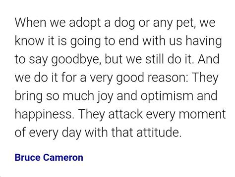 A Pet Can Bring Joy Into Your Life Quotations Joy Pets