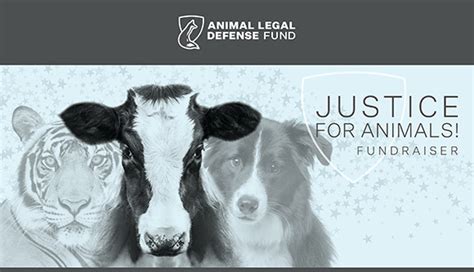 Justice For Animals Animal Legal Defense Fund