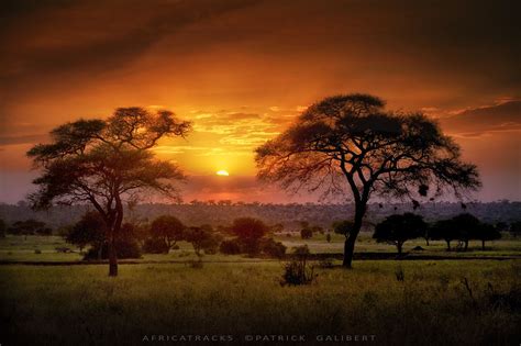 Tanzania Sunset Discovered From Dream Afar New Tab Africa Sunset
