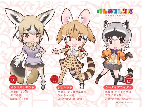 Yoshizaki Mine Crab Eating Raccoon Kemono Friends Large Spotted