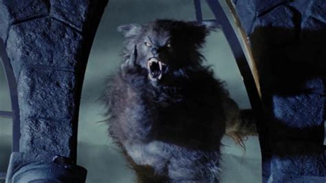 The Best Werewolf Horror Movies Den Of Geek