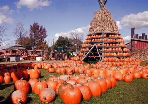 The Best Pumpkin Festivals To Visit This Fall Pumpkin Festival Best