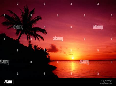 Guam Pago Bay Sunrise And Palm Tree Bright Pink Sky Stock Photo Alamy