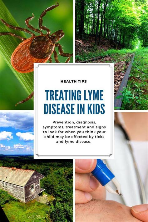 What Does Lyme Disease In Children Look Like And What Should You Do