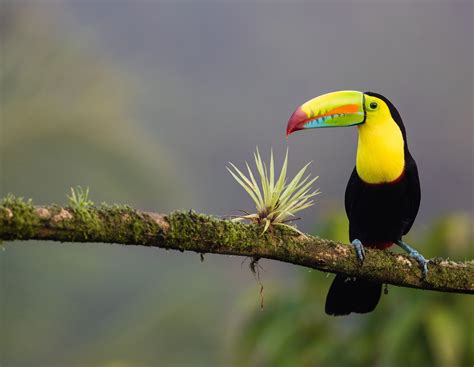 The Best Time To Visit Costa Rica A Full Guide Selina