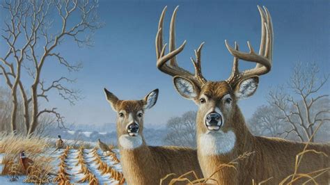Cool Deer Wallpapers 53 Images