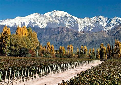 Mendoza | VisitArgentina.net