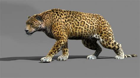 Leopard A 3d Model Animated Rigged