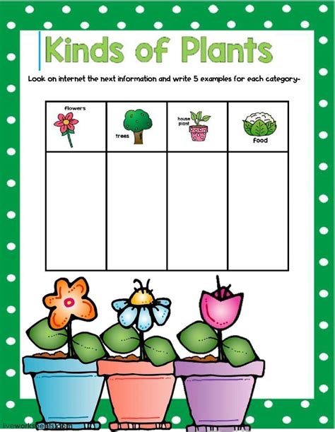 Plants Worksheet For Kindergarten
