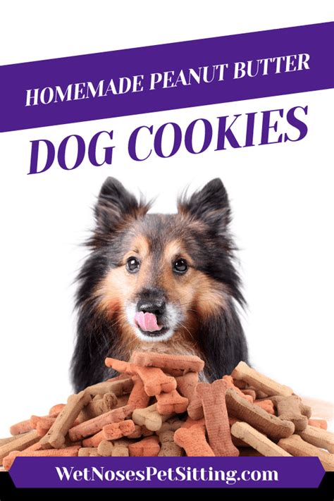Celebrate National Cookie Day With These Homemade Peanut Butter Dog ...