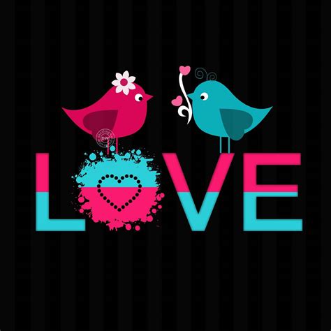 Love Birds Images For Whatsapp Dp Infoupdate Org