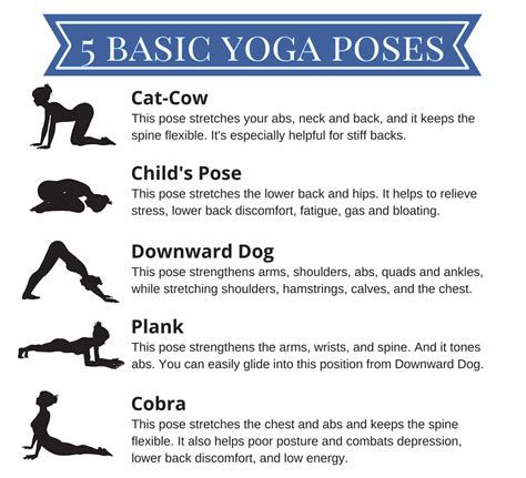 Yoga A Guide For Beginners Yoga Poses For Beginners Basic Yoga Yoga For Beginners