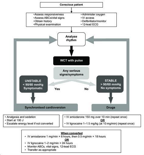 Wide Complex Tachycardia Wct Algorithm Download Scientific Diagram