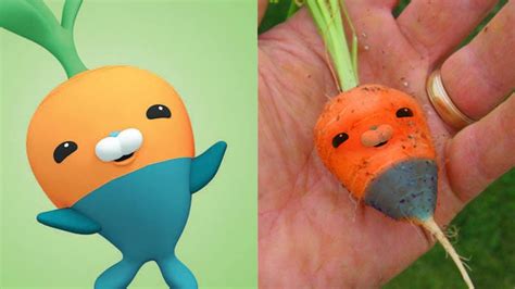 Vegimals Characters In Real Life Octonauts Youtube