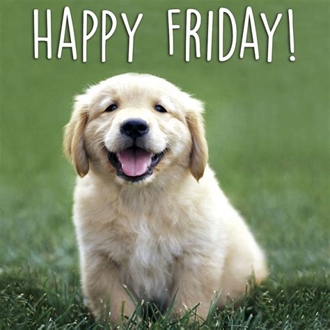 Happy Puppy Friday Meme