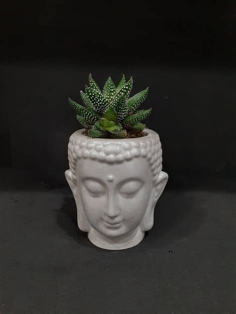 Buddha Planter Mini Planter Succulent Pots Desk Planter Etsy