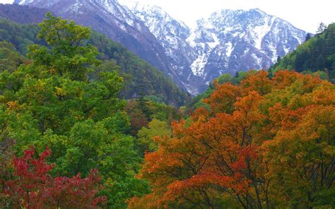 Mountains Japan Forest Nature Autumn Wallpapers Hd Desktop And
