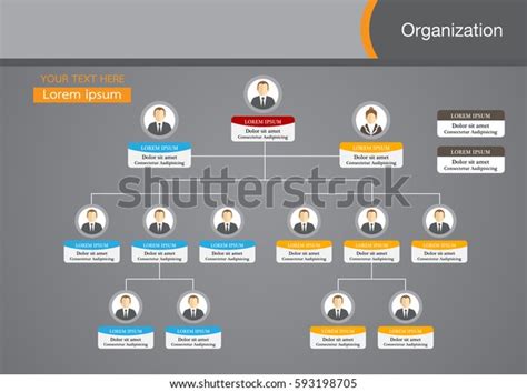 Organization Chart Infographics People Icon Abstract Stock Vector