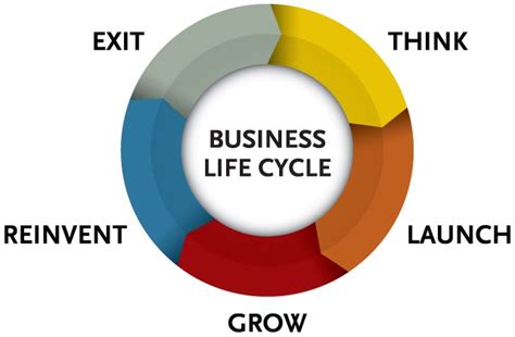 Stages Of A Company Life Cycle