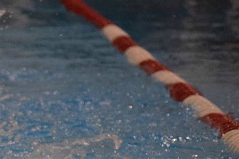 Colony Swimmers Divers Sweep Palmer Invite Homer News