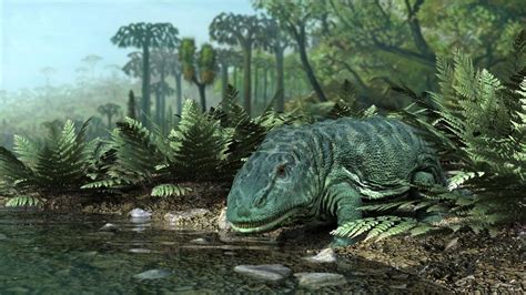 Top 10 Prehistoric Amphibian Creatures