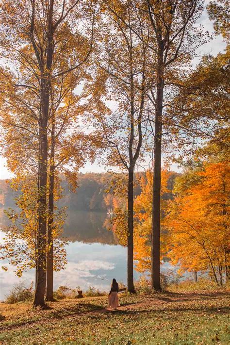 Fall Foliage Maryland 2020 The Ultimate Guide For Fall Color