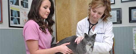 Pet care center is located at united states, montgomery, 3041 eastern blvd. Pet Wellness Care Blue Ridge Animal Clinic
