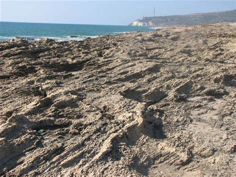 צימרים עם בריכה מזמינים רק באתר צימר. טיולים בחוף הגליל ובעמק עכו - iNature