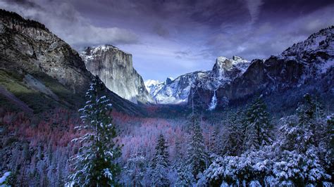 1600x900 Snow Forests Yosemite Scenery 4k Wallpaper1600x900 Resolution