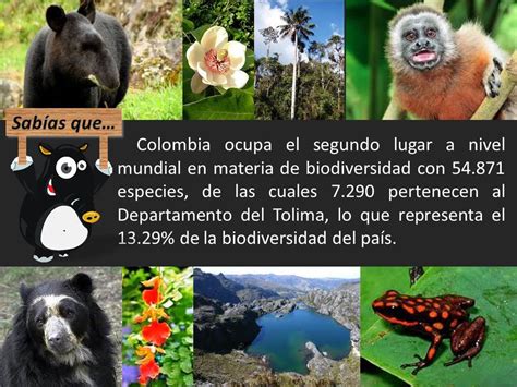 Cortolima Corporación Autónoma Regional Del Tolima Biodiversidad