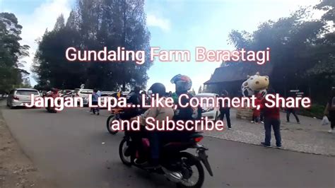 Gundaling Farm Brastagi Youtube