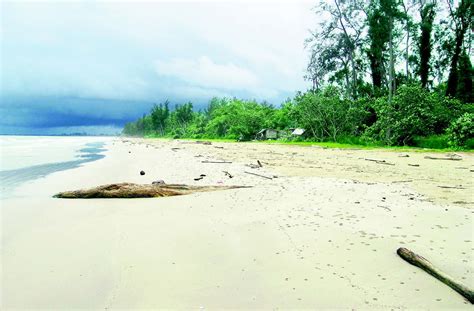 Malaysian Nature Society Kuching Branch Changing Beaches