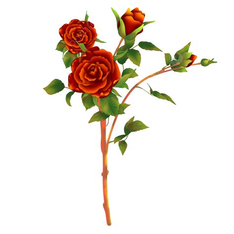 하나의 예술에 의해 하나의 빨간 장미 붉은 장미 장미 꽃 빨간 꽃 Png 일러스트 및 Psd 이미지 무료 다운로드