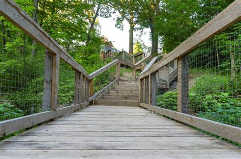 Bridge And Stairs Leading Out Of A Nature Walk Stock Photo Image Of